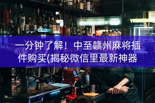 一分钟了解！中至赣州麻将插件购买(揭秘微信里最新神器下载)