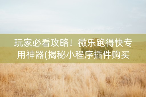 玩家必看攻略！微乐跑得快专用神器(揭秘小程序插件购买)