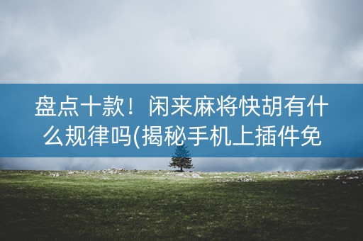 盘点十款！闲来麻将快胡有什么规律吗(揭秘手机上插件免费)