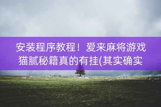 安装程序教程！爱来麻将游戏猫腻秘籍真的有挂(其实确实有挂)
