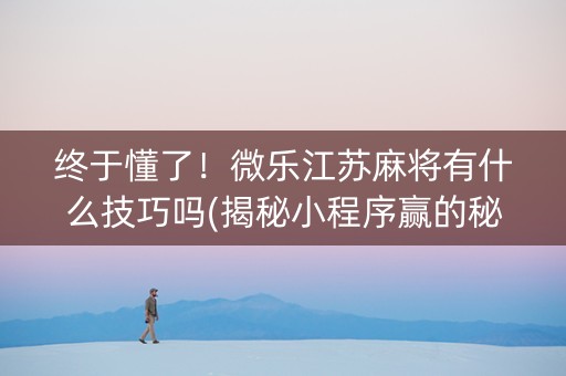 终于懂了！微乐江苏麻将有什么技巧吗(揭秘小程序赢的秘诀)