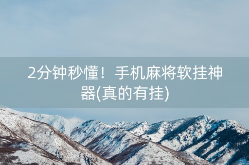 2分钟秒懂！手机麻将软挂神器(真的有挂)