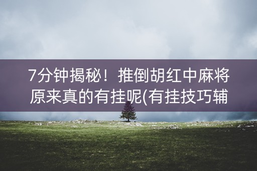 7分钟揭秘！推倒胡红中麻将原来真的有挂呢(有挂技巧辅助器)