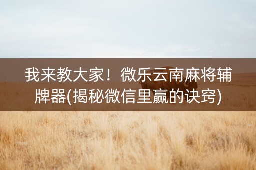 我来教大家！微乐云南麻将辅牌器(揭秘微信里赢的诀窍)