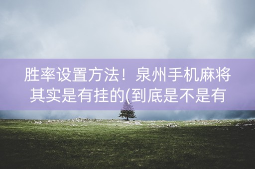 胜率设置方法！泉州手机麻将其实是有挂的(到底是不是有挂)