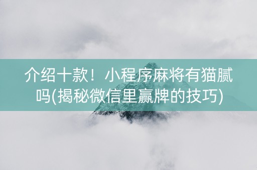 介绍十款！小程序麻将有猫腻吗(揭秘微信里赢牌的技巧)