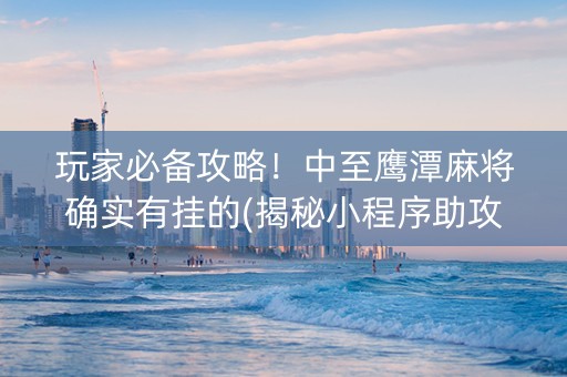 玩家必备攻略！中至鹰潭麻将确实有挂的(揭秘小程序助攻神器)
