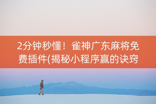 2分钟秒懂！雀神广东麻将免费插件(揭秘小程序赢的诀窍)