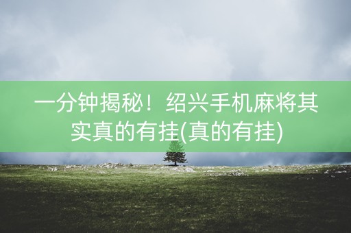 一分钟揭秘！绍兴手机麻将其实真的有挂(真的有挂)