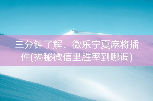 三分钟了解！微乐宁夏麻将插件(揭秘微信里胜率到哪调)