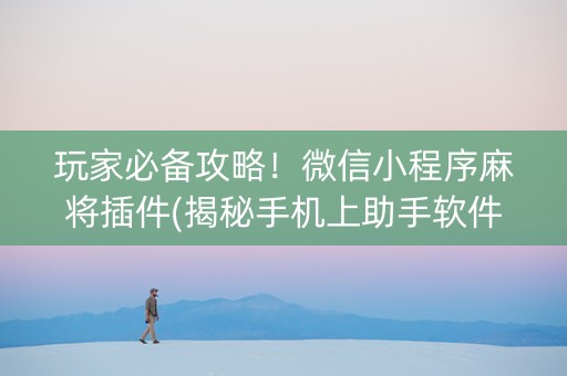 玩家必备攻略！微信小程序麻将插件(揭秘手机上助手软件)