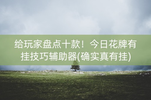 给玩家盘点十款！今日花牌有挂技巧辅助器(确实真有挂)