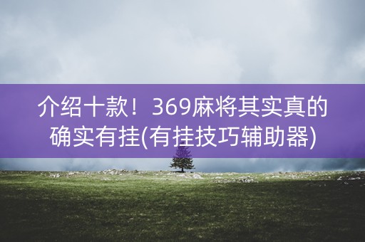 介绍十款！369麻将其实真的确实有挂(有挂技巧辅助器)
