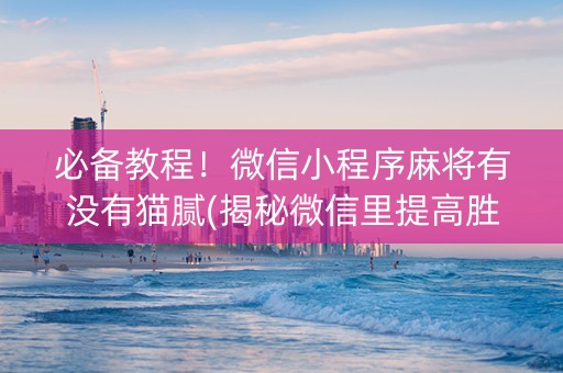 必备教程！微信小程序麻将有没有猫腻(揭秘微信里提高胜率)