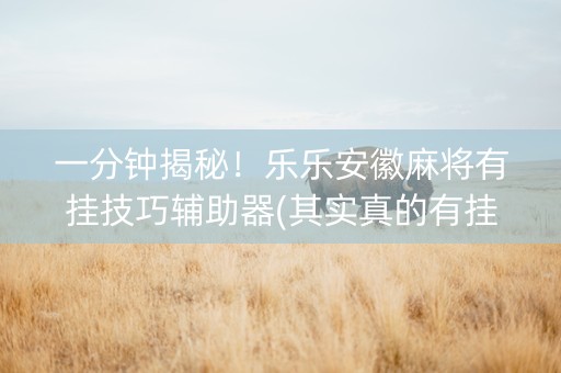 一分钟揭秘！乐乐安徽麻将有挂技巧辅助器(其实真的有挂)