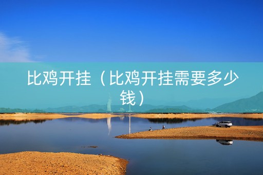 比鸡开挂（比鸡开挂需要多少钱）