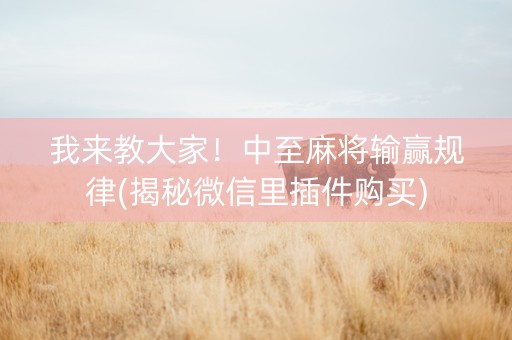 我来教大家！中至麻将输赢规律(揭秘微信里插件购买)