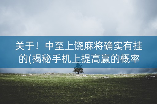 关于！中至上饶麻将确实有挂的(揭秘手机上提高赢的概率)