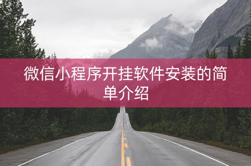 微信小程序开挂软件安装的简单介绍