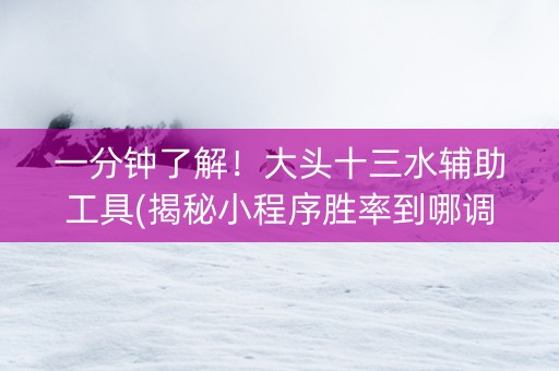 一分钟了解！大头十三水辅助工具(揭秘小程序胜率到哪调)