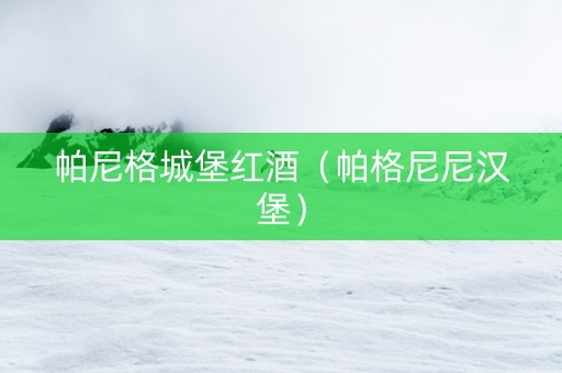 帕尼格城堡红酒（帕格尼尼汉堡）