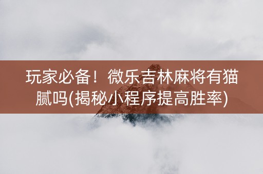 玩家必备！微乐吉林麻将有猫腻吗(揭秘小程序提高胜率)