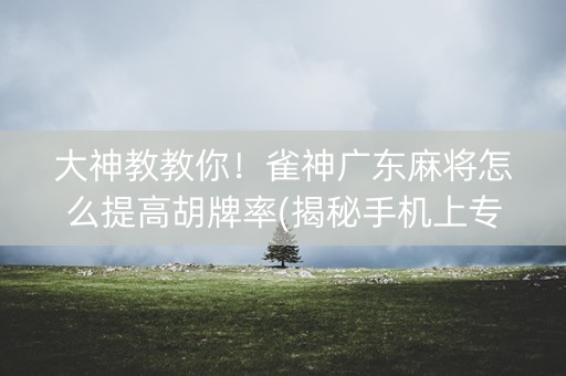 大神教教你！雀神广东麻将怎么提高胡牌率(揭秘手机上专用神器)