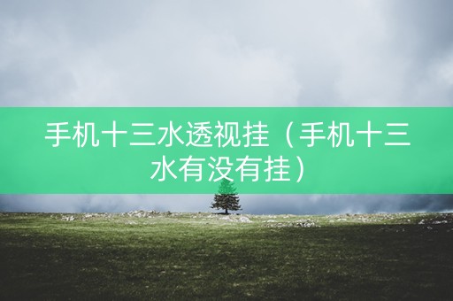 手机十三水透视挂（手机十三水有没有挂）