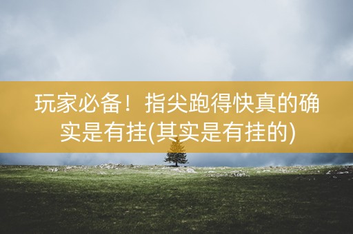 玩家必备！指尖跑得快真的确实是有挂(其实是有挂的)