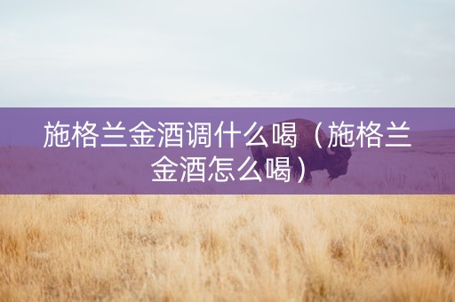 详细阅读:施格兰金酒调什么喝(施格兰金酒怎么喝) 施格兰金酒调什么喝(施格兰金酒怎么喝)