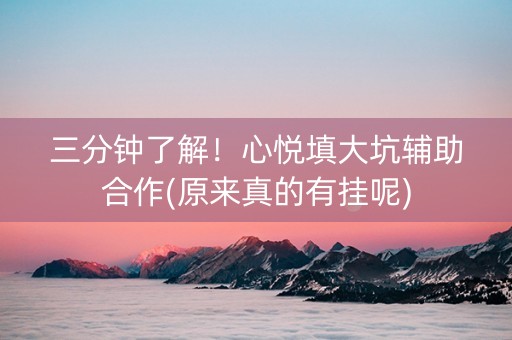 三分钟了解！心悦填大坑辅助合作(原来真的有挂呢)