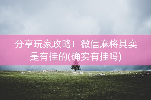 分享玩家攻略！微信麻将其实是有挂的(确实有挂吗)
