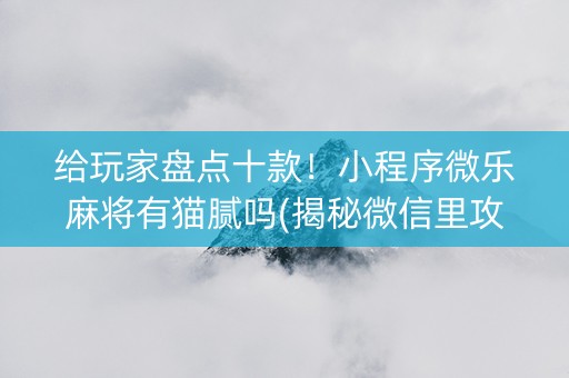 给玩家盘点十款！小程序微乐麻将有猫腻吗(揭秘微信里攻略插件)