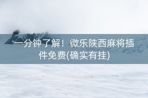 一分钟了解！微乐陕西麻将插件免费(确实有挂)
