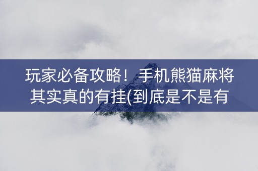 玩家必备攻略！手机熊猫麻将其实真的有挂(到底是不是有挂)