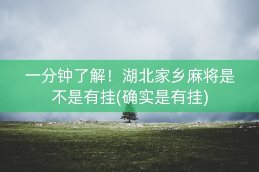 一分钟了解！湖北家乡麻将是不是有挂(确实是有挂)