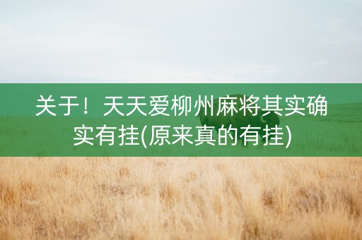 关于！天天爱柳州麻将其实确实有挂(原来真的有挂)
