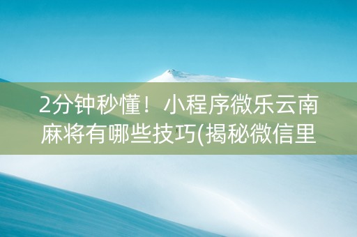 2分钟秒懂！小程序微乐云南麻将有哪些技巧(揭秘微信里赢的秘诀)
