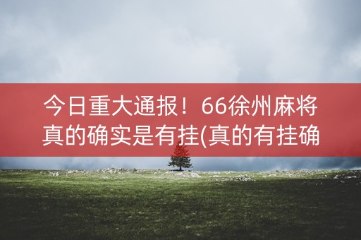 今日重大通报！66徐州麻将真的确实是有挂(真的有挂确实有挂)