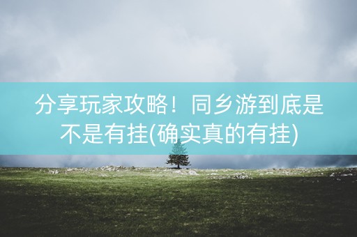 分享玩家攻略！同乡游到底是不是有挂(确实真的有挂)