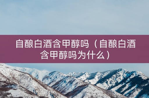 自酿白酒含甲醇吗（自酿白酒含甲醇吗为什么）