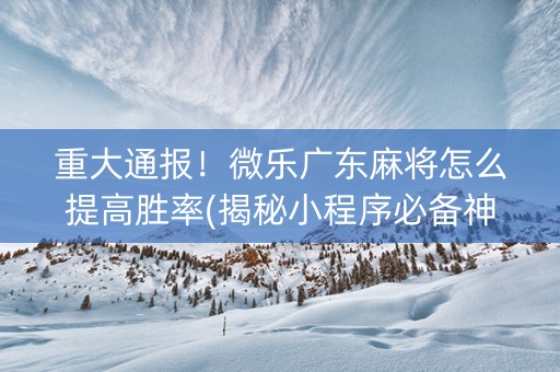 重大通报！微乐广东麻将怎么提高胜率(揭秘小程序必备神器)