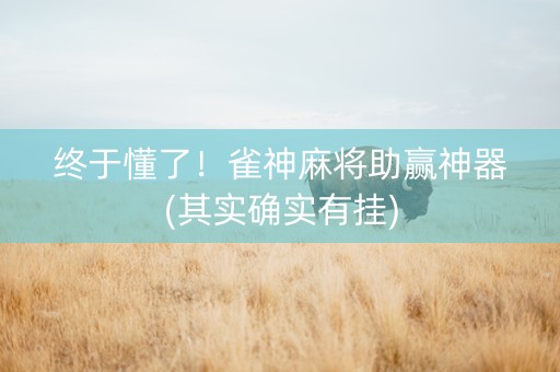 终于懂了！雀神麻将助赢神器(其实确实有挂)