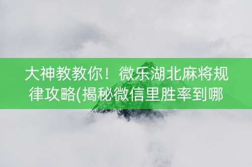 大神教教你！微乐湖北麻将规律攻略(揭秘微信里胜率到哪调)