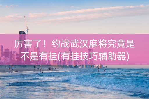 厉害了！约战武汉麻将究竟是不是有挂(有挂技巧辅助器)