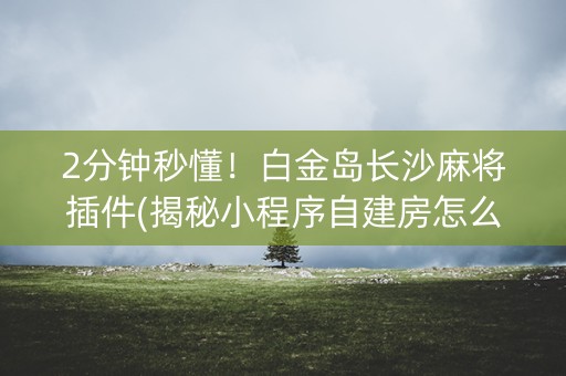 2分钟秒懂！白金岛长沙麻将插件(揭秘小程序自建房怎么赢)