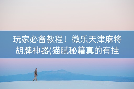 玩家必备教程！微乐天津麻将胡牌神器(猫腻秘籍真的有挂)