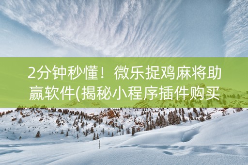 2分钟秒懂！微乐捉鸡麻将助赢软件(揭秘小程序插件购买)