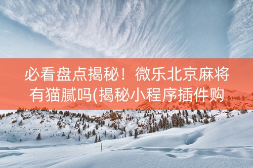 必看盘点揭秘！微乐北京麻将有猫腻吗(揭秘小程序插件购买)
