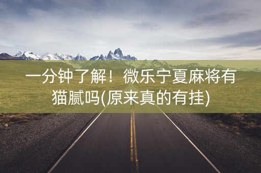 一分钟了解！微乐宁夏麻将有猫腻吗(原来真的有挂)